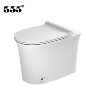 555 Sanitary Ware Toilet Sets Bathroom Seat And Sink Pipe Fittings Chinese Girl Wc Luxury Set Automatic Open Cover